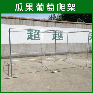 镀锌钢管室外庭院晾衣架葡萄架露台家用植物花草瓜果爬藤架遮阳棚