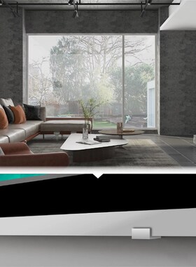 VIVIDSTORM地升幕布墙上挂架/调试棒/遥控器/毛刷/触发器/电源线