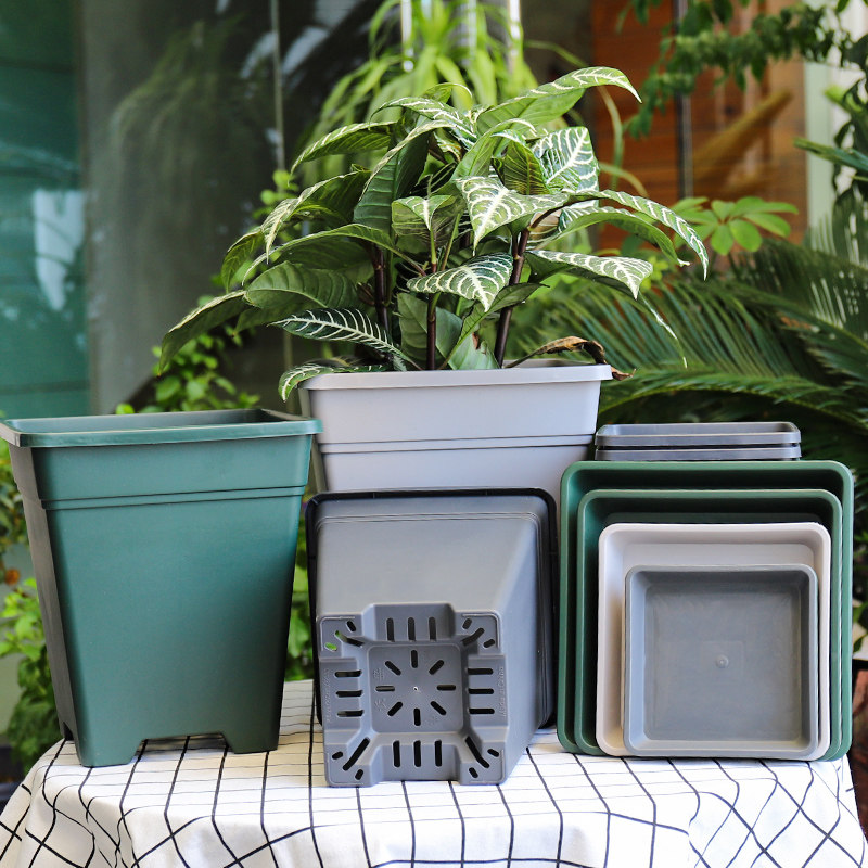 正方形长盛青山控根塑料花盆透气花卉加仑盆铁线莲月季大口径方盆