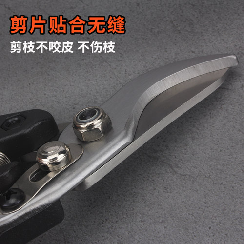 新款园林修枝剪刀粗枝硬枝果树修枝剪刀花枝修剪盆栽盆景修剪工具