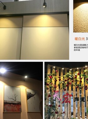 黑色led软管射灯明装吸顶长杆弯管照画灯5W7W12W招牌logo侧装壁灯