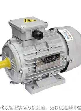 厂家供应MS-100L2-4 3W 三相异步电动机 纯铜马达 清洗机电机 YS