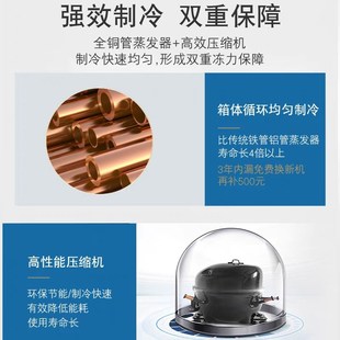 兴南单温冷冻冷藏可转换商用家用鲜肉蔬菜柜