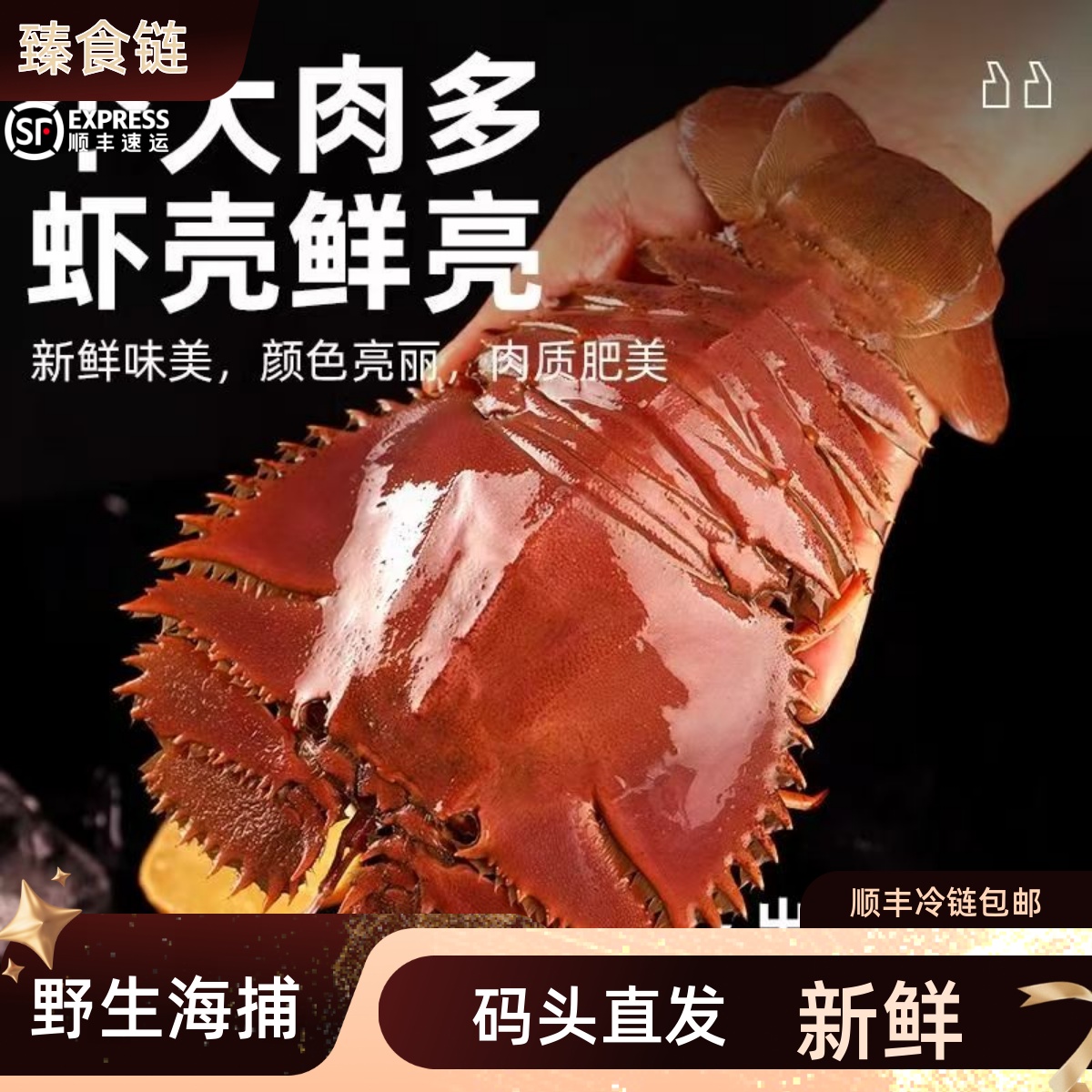 【产季优惠】码头现发 琵琶虾 九齿扇虾 新鲜海捕鲜活冻 龙虾海鲜