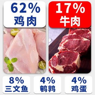 成幼猫无谷布偶蓝猫英美短加菲猫粮 鲜肉低温烘焙0肉粉0淀粉0喷油
