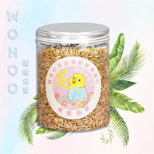 罐装 喔喔鸟屋 食用级燕麦300g中小型虎皮鹦鹉互动营养零食饲料