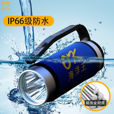 海洋王RJW7102/LT手提式防爆探照灯 RJW7101强光防水手电筒