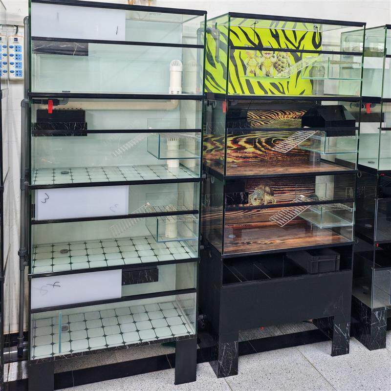 乌龟繁殖下蛋排缸一拖三四层乌龟缸多层鱼缸底滤排缸订做金龟直销
