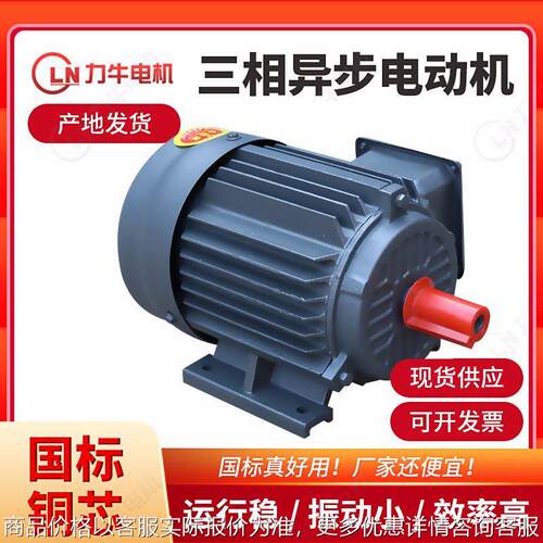 厂家三相异步电动机 三相电动机 Y2系列YE2 YS 全铜电机