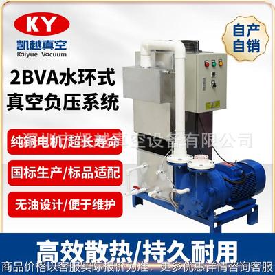 定制2BVA液环式真空泵机组CNC精雕机工业用高真空负压系统多规格