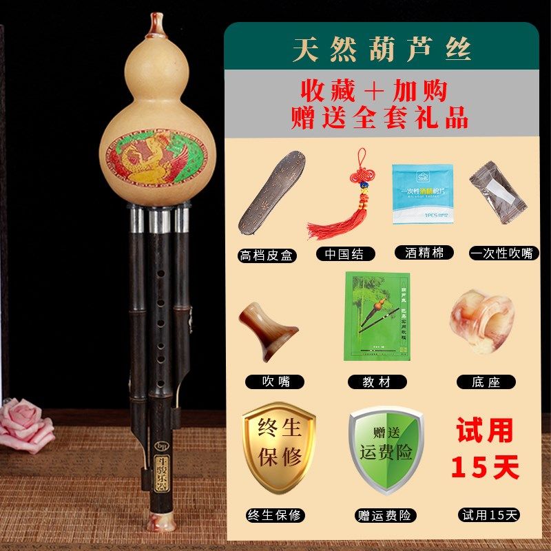 葫芦丝演奏型调降调胡芦器初学小学生儿童送盒子书