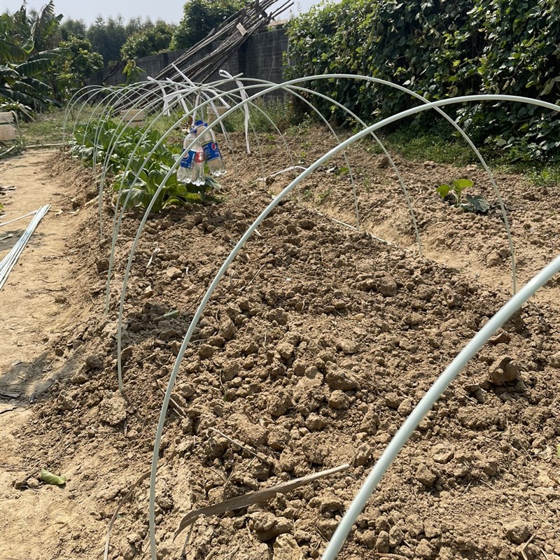 支优恵拍农用拱棚杆扶苗支架挂面杆小拱棚杆玻璃纤维棒锚固棒