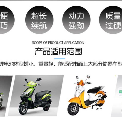 天能动力电池改铅酸车电动车自行代驾车