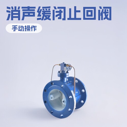 HH49X-16 HH48X铸钢消声缓闭止回阀防回流防水锤蝶式DN100