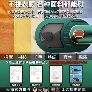 手持挂烫机家用小型电熨斗便携熨烫机平挂宿舍烫衣服除皱神器新款
