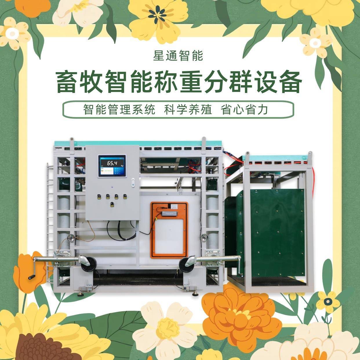 智能称重分群设备高精度无应激防滑通道数据记录上传牛场羊场管理