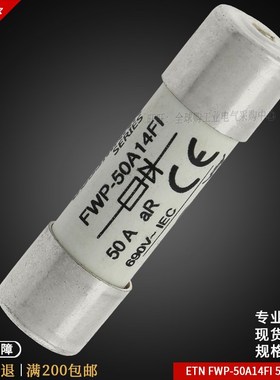 UMNN带撞针保险丝 FWFI22FI