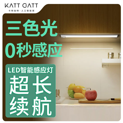 卡特加特智能灯智能感应灯色调灯光免布线充电款