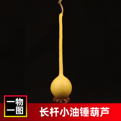 一物一图天然小油锤葫芦长单肚独把葫芦文玩客厅挂件工艺礼品摆饰