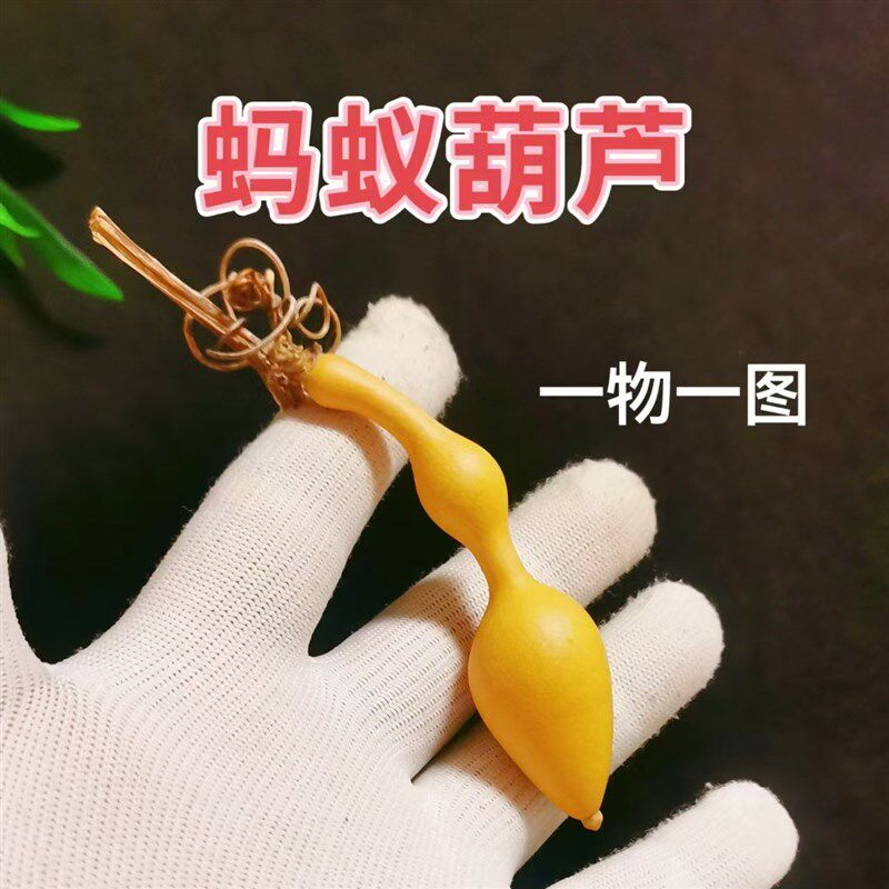 天然蚂蚁肚手捻小葫芦尖肚异形文玩一物一图精品老葫芦