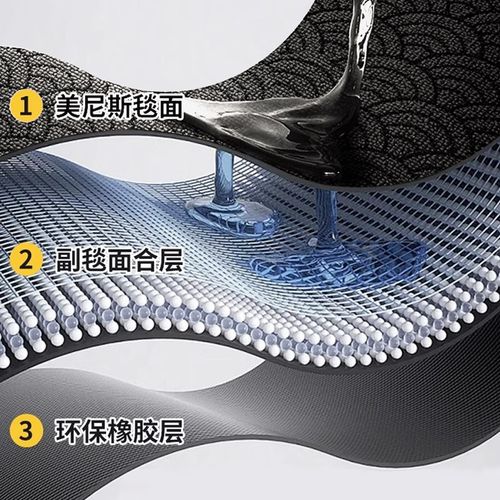 入户门地垫新款轻奢高级感玄关地毯家用别墅大门口进门防滑脚垫子