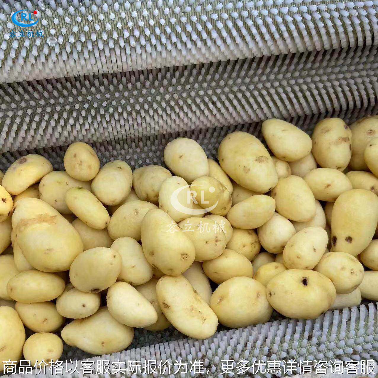 全自动毛刷土豆清洗机 毛刷南姜番薯清洗设备 小型马铃薯清洗机,清洗/食品/商业设备,果蔬加工设备,淘宝优惠券,粉丝福利购,淘宝优惠卷