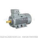 三相AC05A4100003 电机