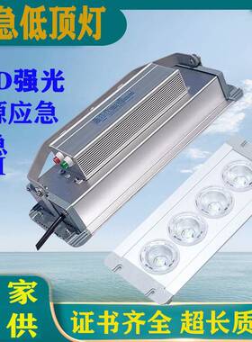 NFC9121LED低顶灯船用蓬顶灯LED地沟灯月台隧道投光灯NFE9121应急