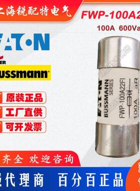 FWP-100A22FI陶瓷管保险丝600V100A22x58巴斯曼BUSSMANN熔断
