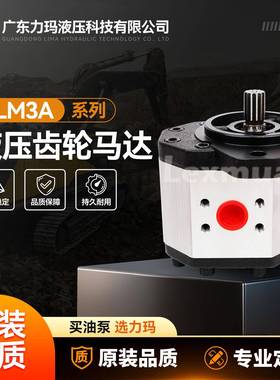 齿轮马达ALM3A-R-50-E1-S1马祖奇‌农机MARZOCCHI液压马达现货