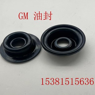 米顿罗计量泵GMG1000计量泵油封橡胶密封圈垫片