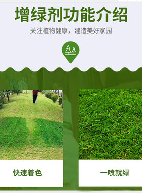 润德苑林草坪增绿剂草皮枯草染绿剂染色着色剂一喷就绿伤草