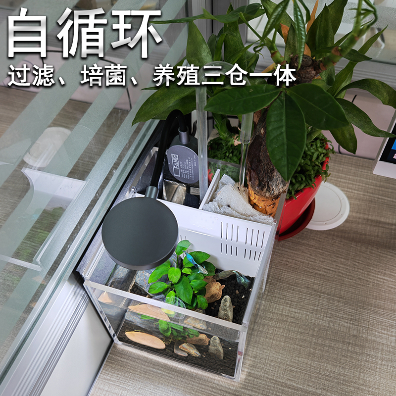 亚克力小型桌面鱼缸自循环迷你生态系统外置斗鱼孔雀鱼幼鱼繁殖盒