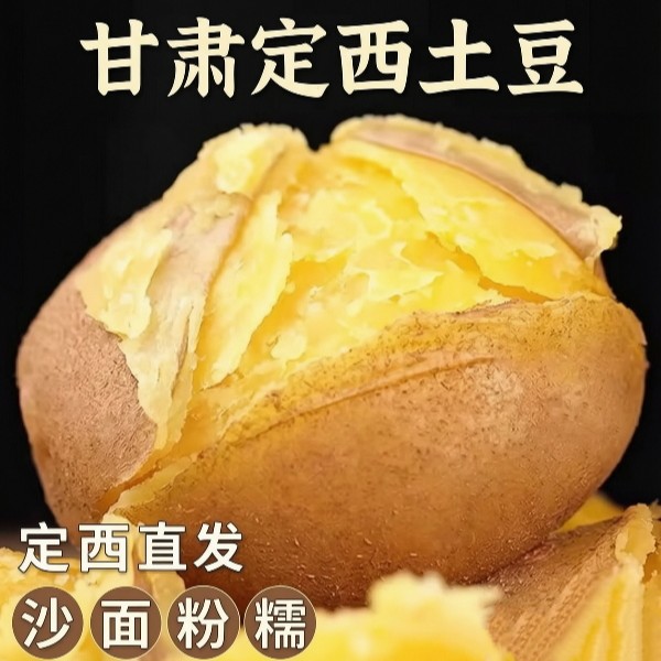 2026甘肃定西临洮黄皮黄心沙地土豆粉面开花洋芋高山种植马铃薯