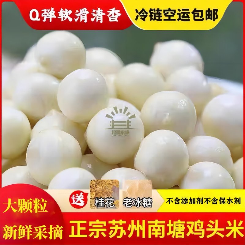 苏州大颗粒鸡头米新鲜采摘芡实农产品软糯清香现摘现发2斤/1斤