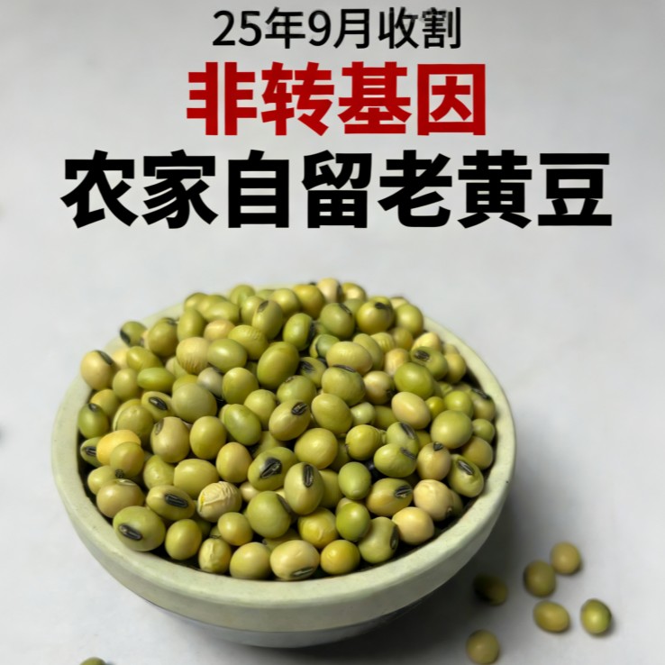 内蒙农家老品种青皮黄豆可打豆浆做豆花五谷杂粮老黄豆豆腐