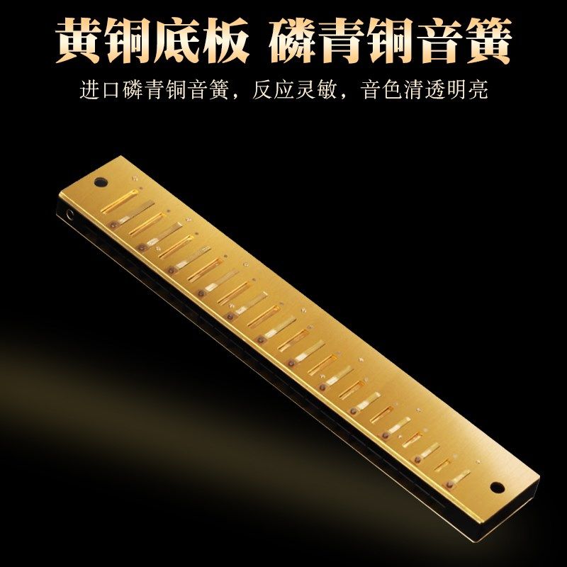 天鹅口琴24孔复音初学者学生成人男女自学乐器儿童入门演奏型C调,乐器/吉他/钢琴/配件,口琴,淘宝优惠券,粉丝福利购,淘宝优惠卷