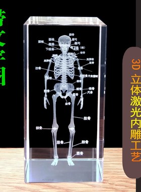 人体骨骼模型水晶内雕结构图激光立体解剖医学生道具水晶工艺品