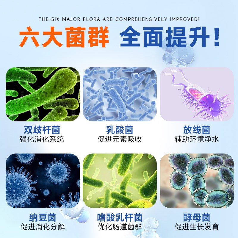 小型鱼专用饲料孔雀鱼斗鱼鱼食丰年虾卵热带鱼粮红虫干七彩观赏鱼