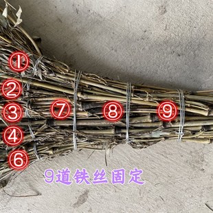 竹子扫把头大号毛竹竹枝扫帚头单个组拼装户外专用工地保洁竹丝头