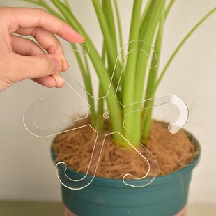龟背竹防倒伏支架园艺花卉盆花支架水培植物透明花茎固定器收拢器