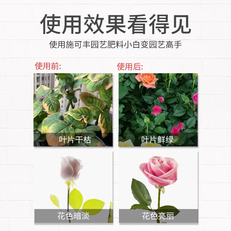 施可丰玫瑰月季专用复合缓释肥营养液家用养花肥料营养土天狼月季图片