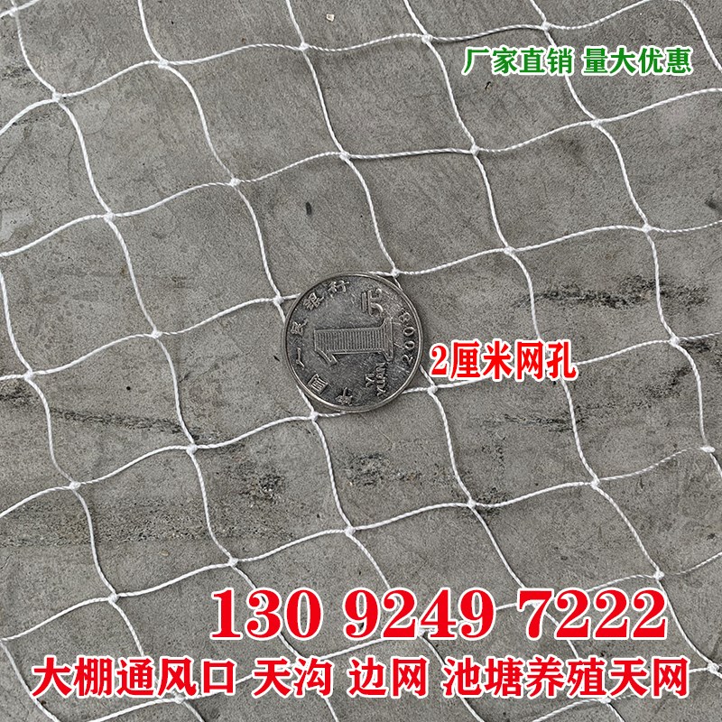 涤纶线防鸟网葡萄大棚果树樱桃梨树果园防乌用鱼塘牛蛙轮胎线天网