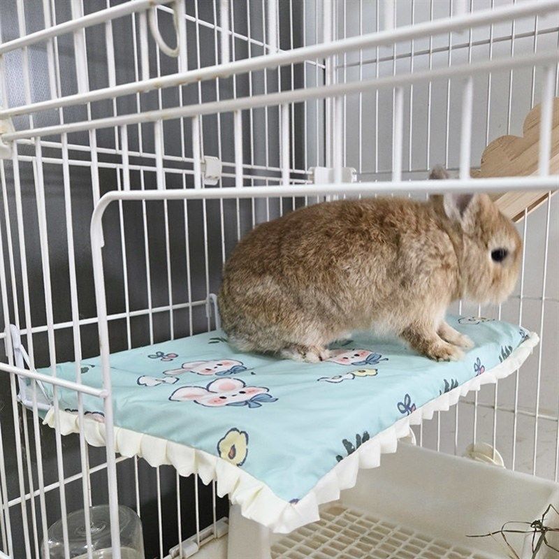 兔兔笼挂床小宠跳板挂式侏儒兔休息台阁楼笼用小平台宠物兔可爱窝,宠物/宠物食品及用品,兔兔专用窝,淘宝优惠券,粉丝福利购,淘宝优惠卷