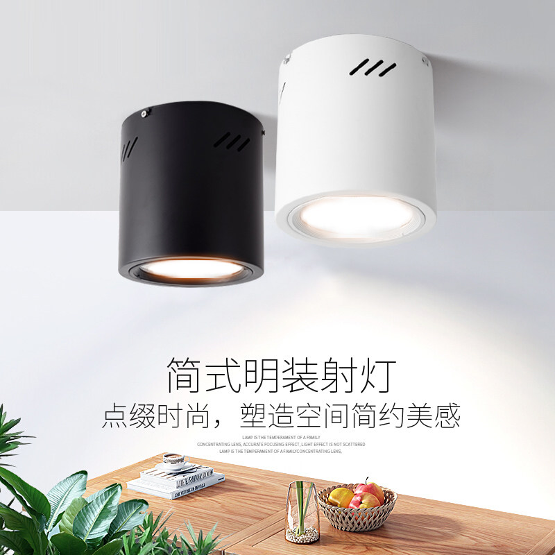 明装筒灯12w18w20w30w大圆桶圆柱吸顶 4寸5寸6寸8寸展厅吊装射灯