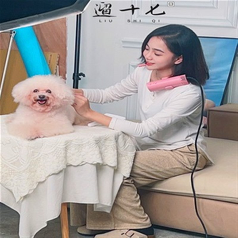 溜遛十七专业宠物美容吹风机降噪静音大风力挂脖狗狗猫咪拉毛机水