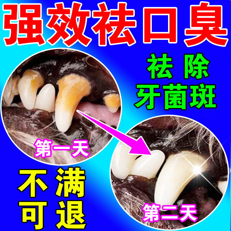 狗狗牙结石溶解神牙结石速效去除器除口臭去牙垢清洁口腔软化剂器,宠物/宠物食品及用品,狗口腔清洁,淘宝优惠券,粉丝福利购,淘宝优惠卷