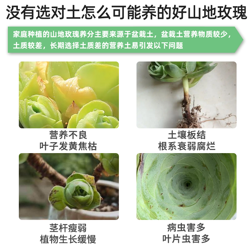 山地玫瑰专用土多肉植物营养土养花专用通用盆栽花土壤泥土种植土