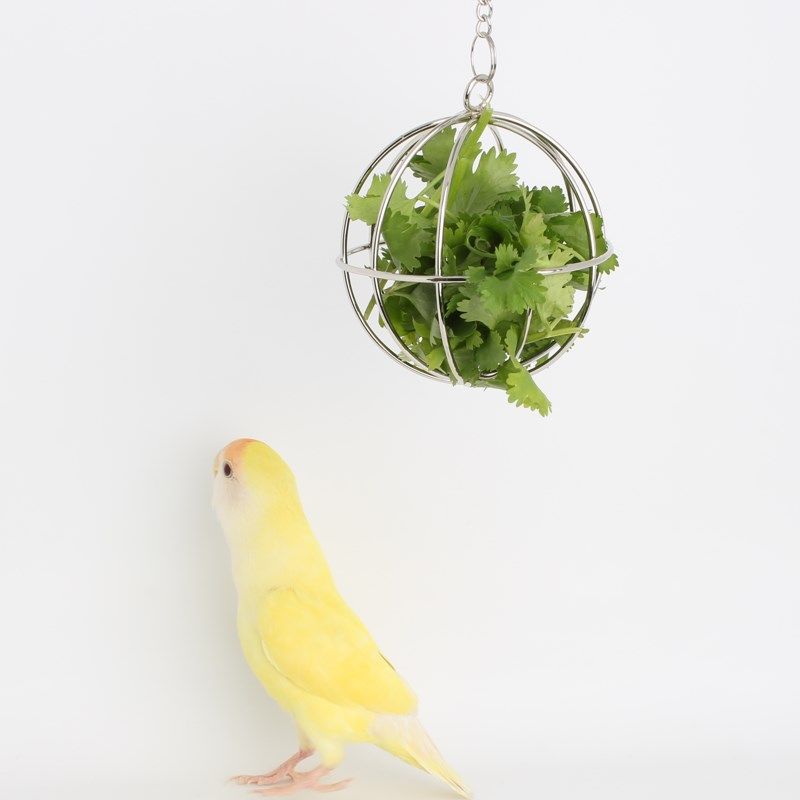 鹦鹉蔬菜金属球 玄凤虎皮牡丹文鸟鹦鹉鸟喂蔬菜夹子架用品用具,宠物/宠物食品及用品,鸟禽其他,淘宝优惠券,粉丝福利购,淘宝优惠卷