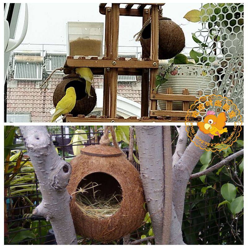 包邮牡丹虎皮珍珠文鸟窝椰壳鹦鹉窝大鸟巢椰子壳鸟窝 保暖防咬,宠物/宠物食品及用品,鸟禽其他,淘宝优惠券,粉丝福利购,淘宝优惠卷